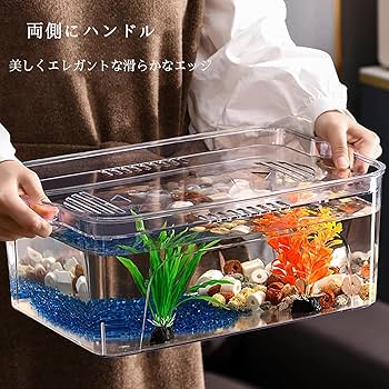 Amazon | zjdgweh 水槽 金魚鉢 メダカ 水槽 小型 蓋付き